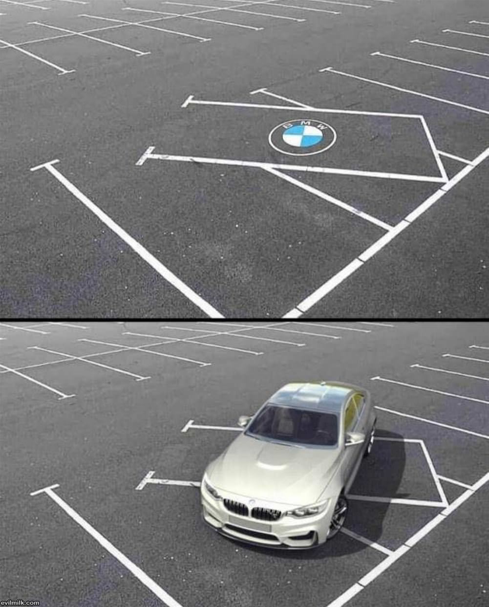 The Rules