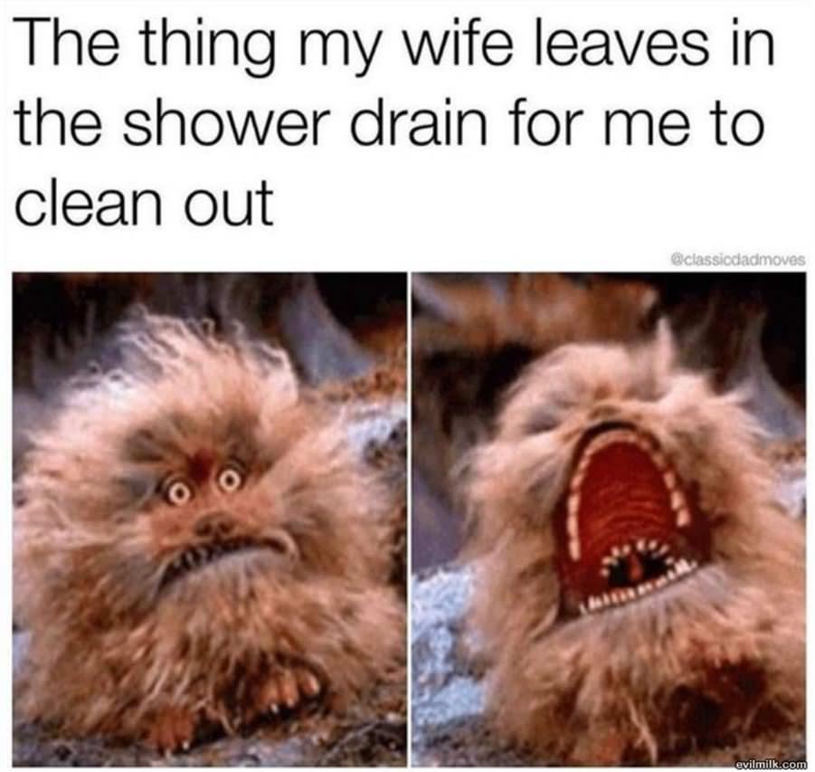 The Shower Drain