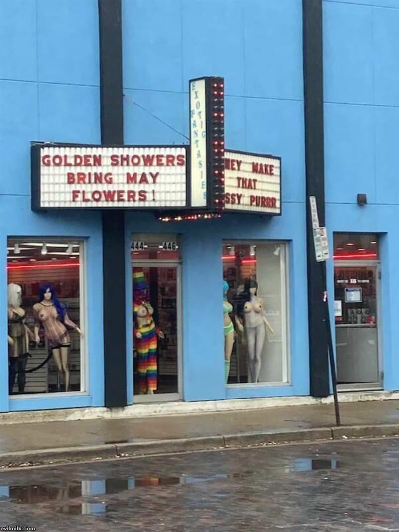 The Showers