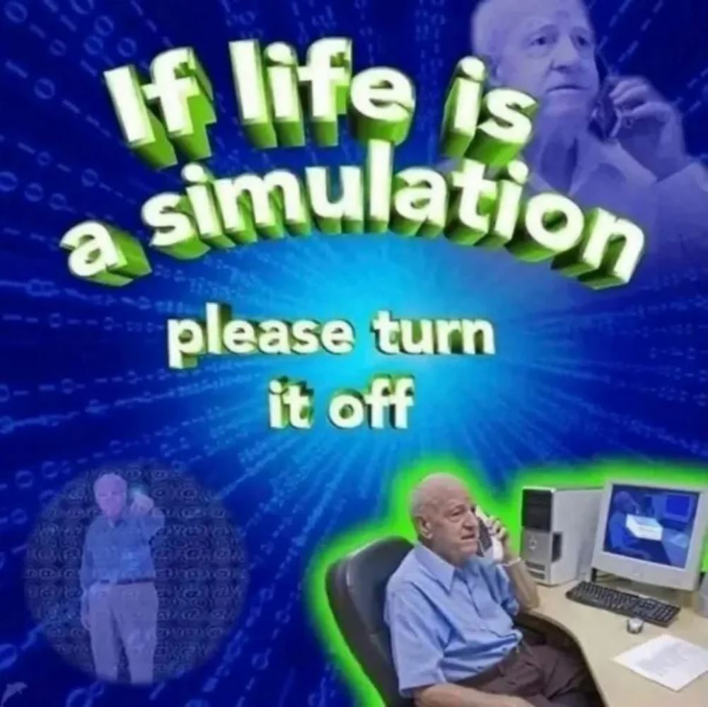 The Simulation