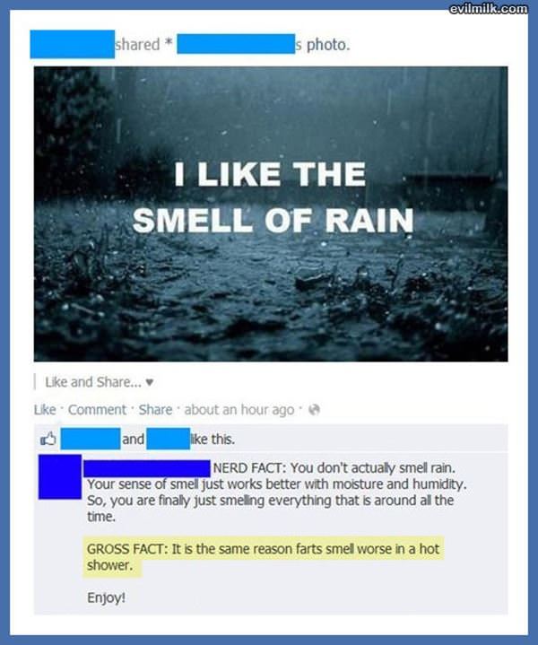 The Smell Of Rain