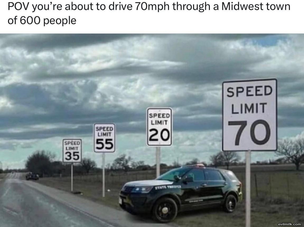 The Speeds
