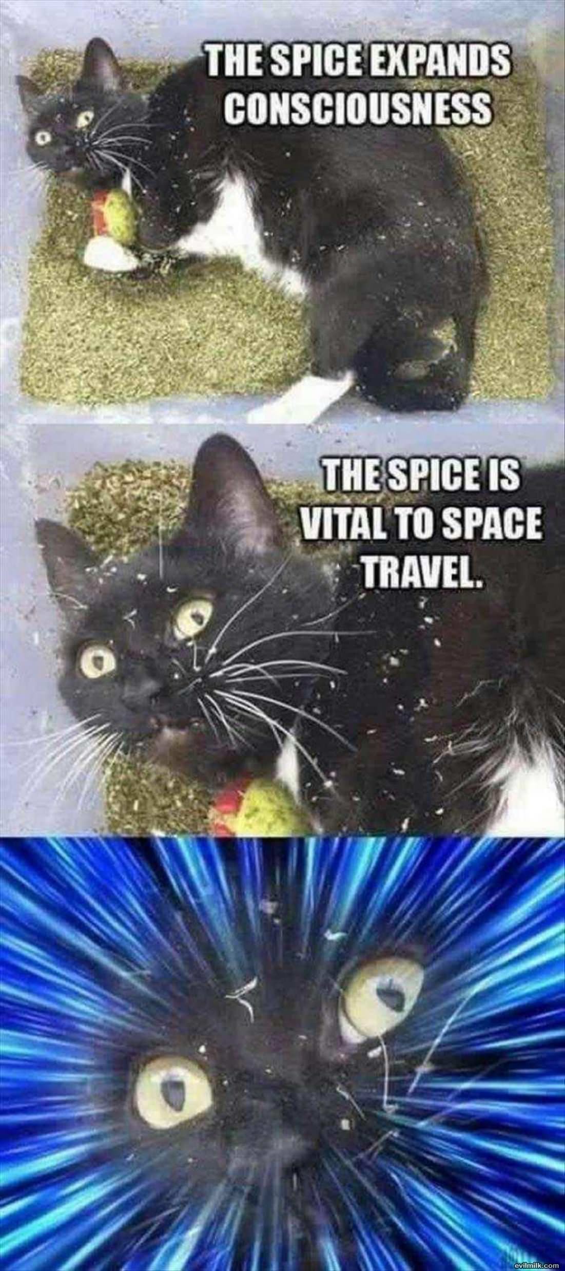 The Spice