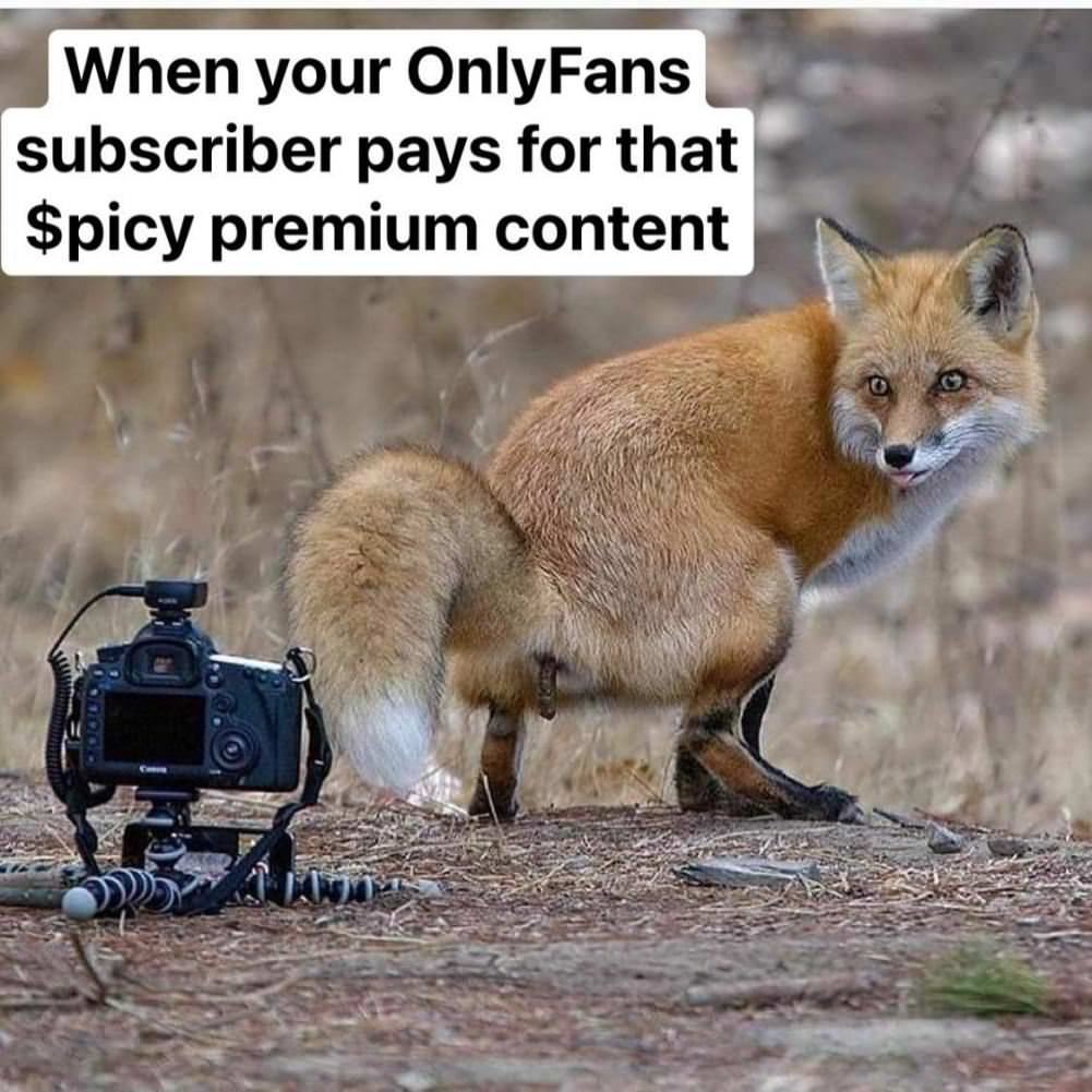 The Spicy Content