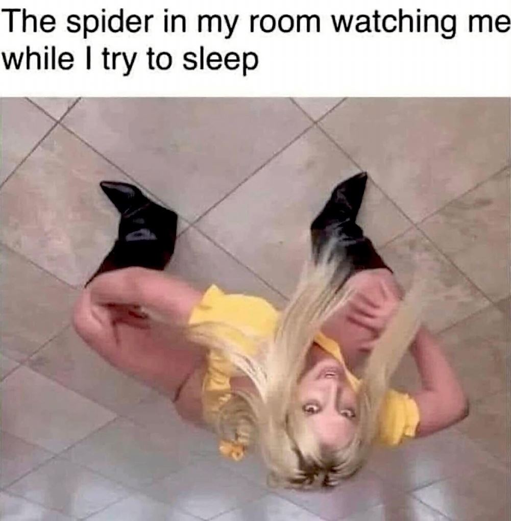 The Spider