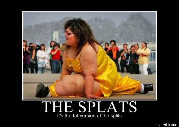 The Splats