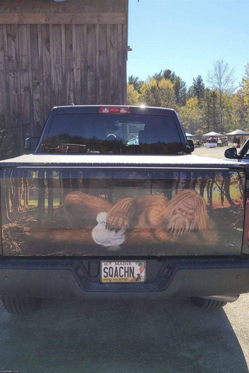 The Squatch Man