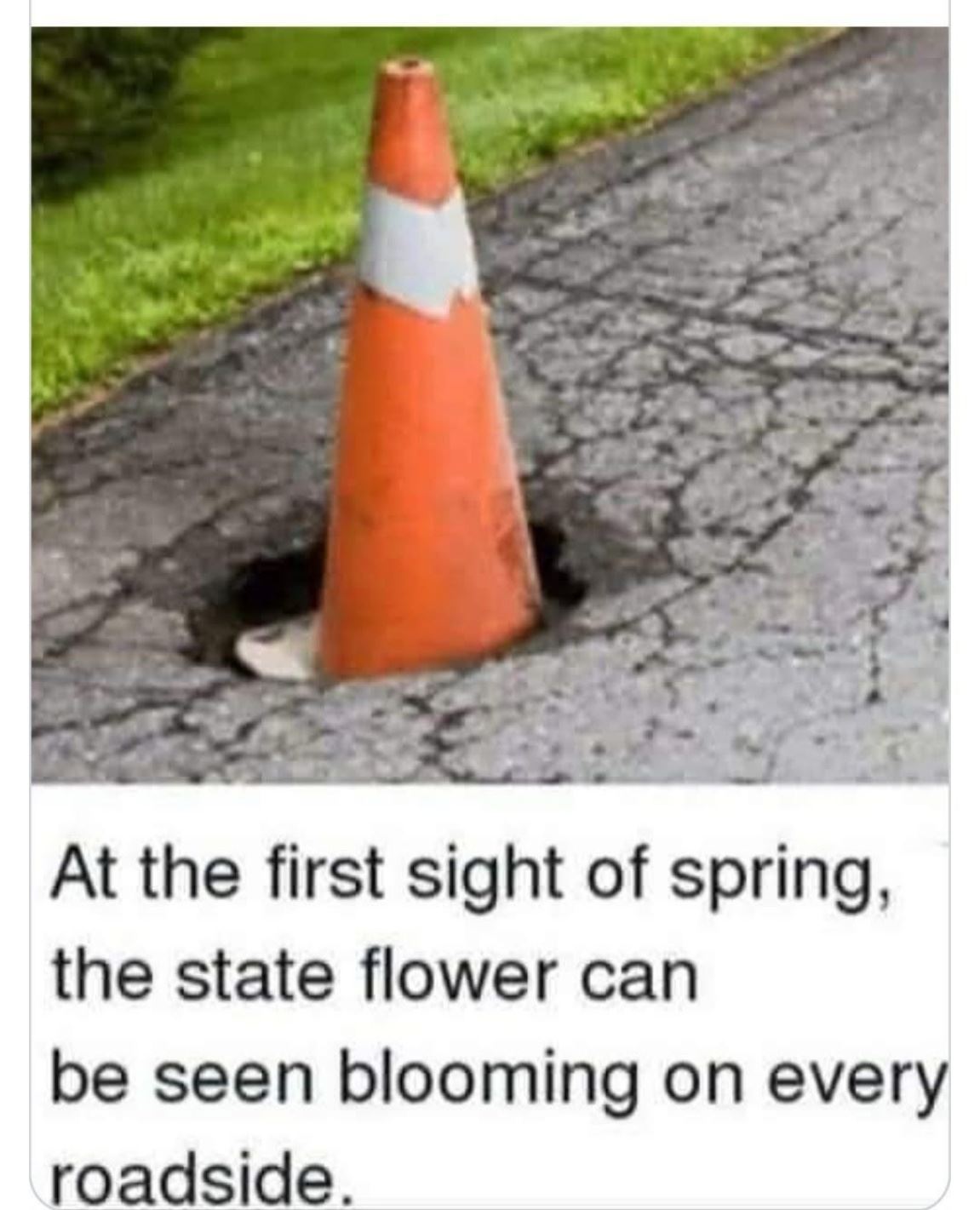 The State Flower