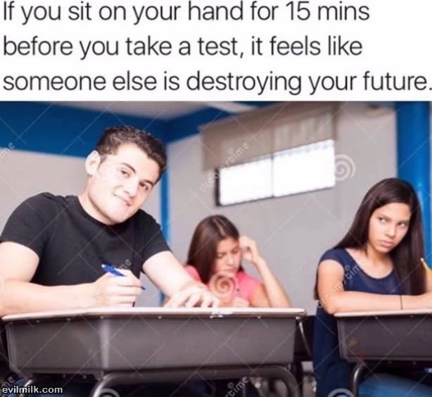 The Stranger Exam