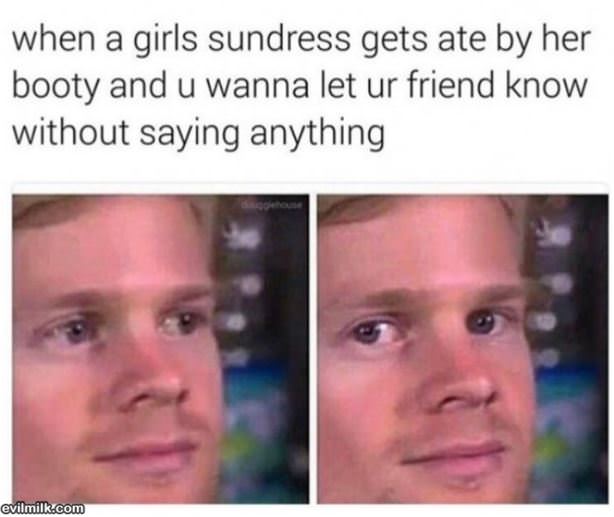 The Sundress