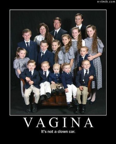 The Vagina