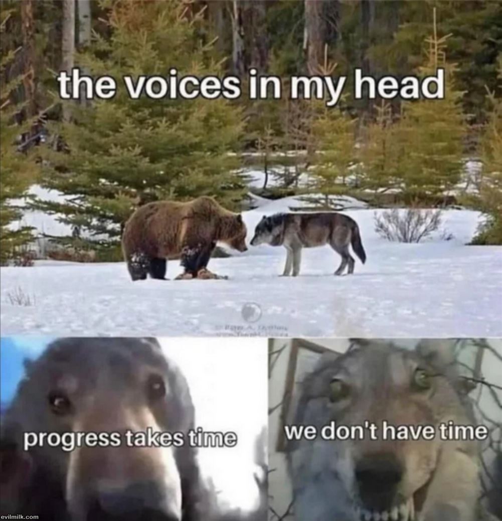 The Voices In My Head