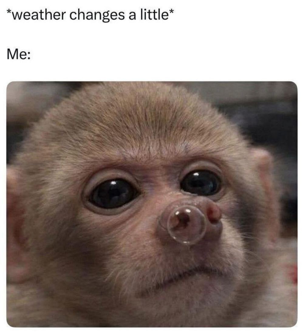 The Weather Changes A Little