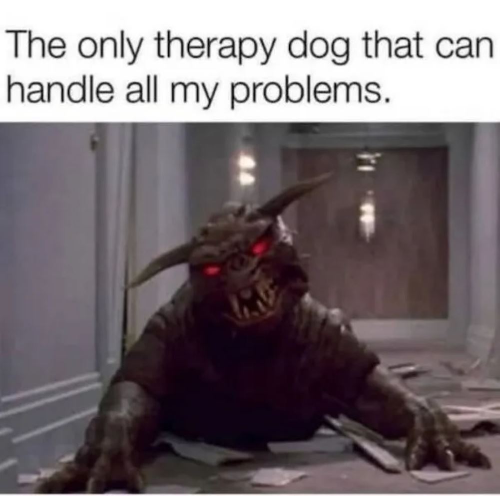 Therapy Dog
