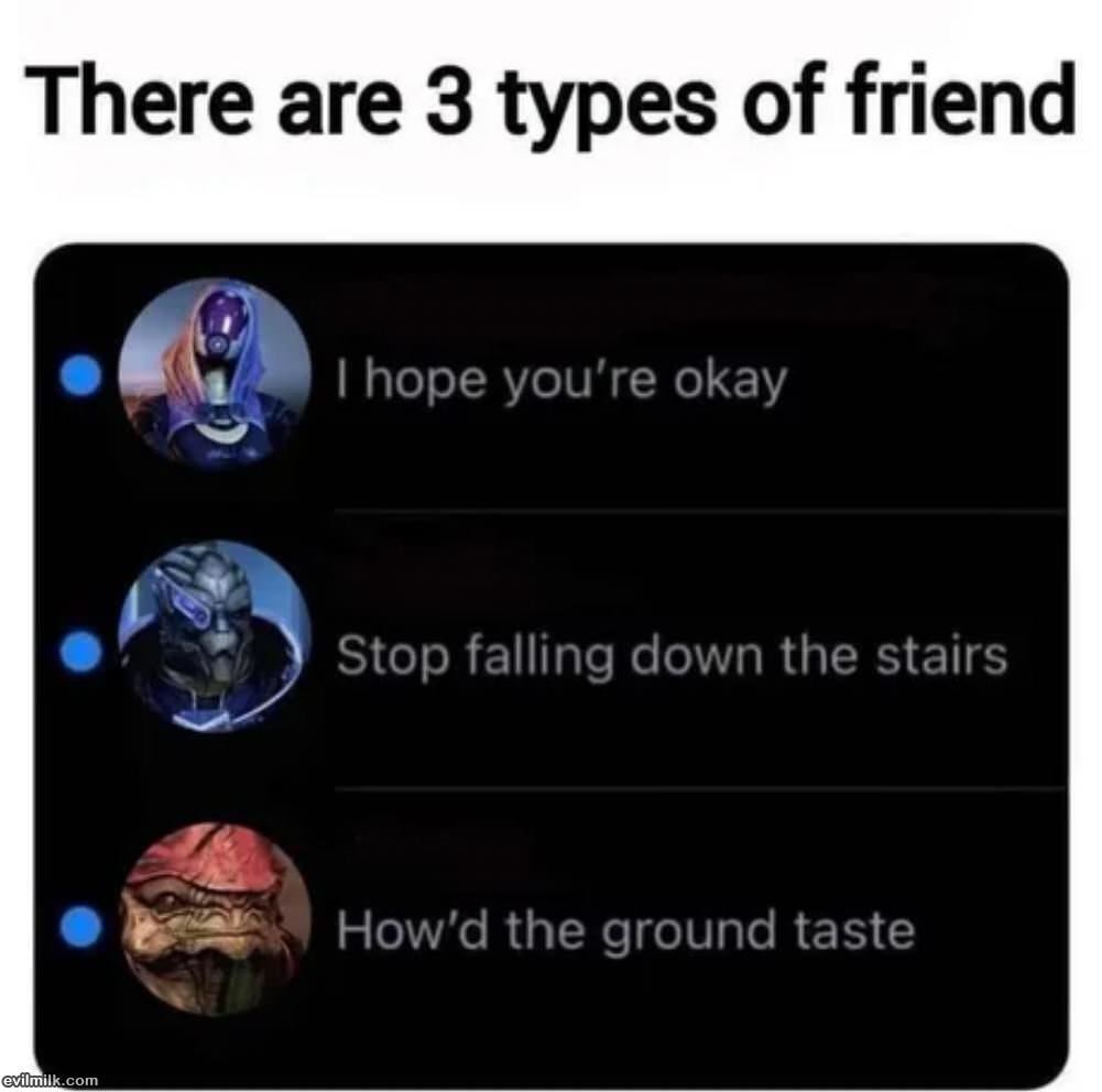 There Are 3 Types Of Friends