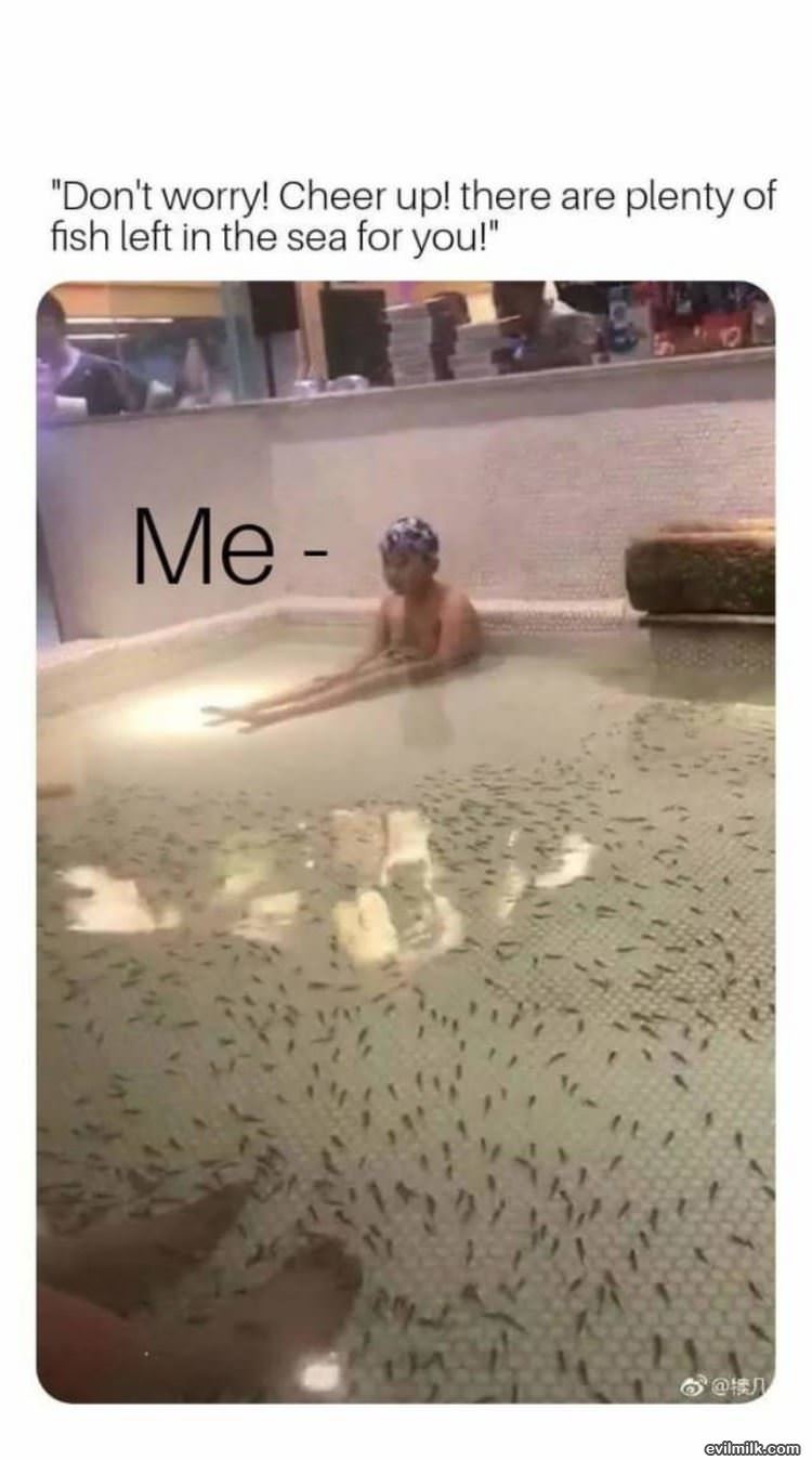 There Are Plenty Of Fish