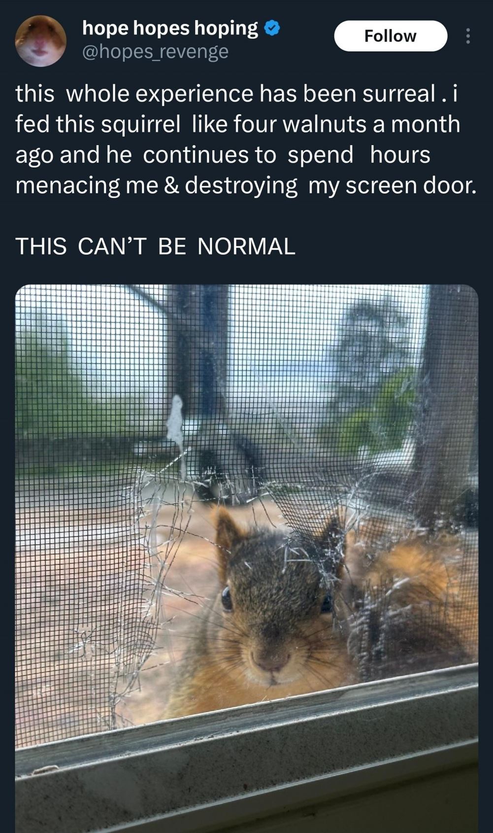 There Is A Lesson Here