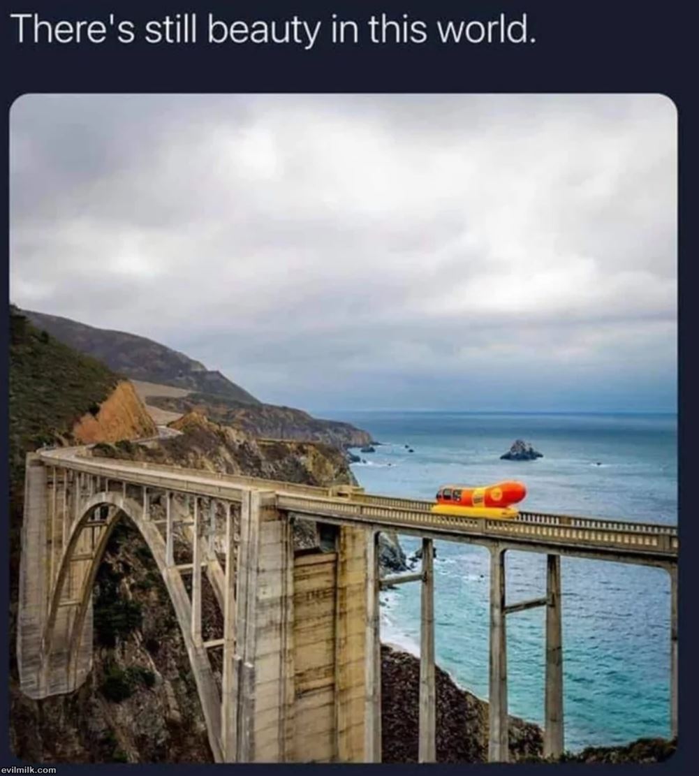 There Is Beauty In This World