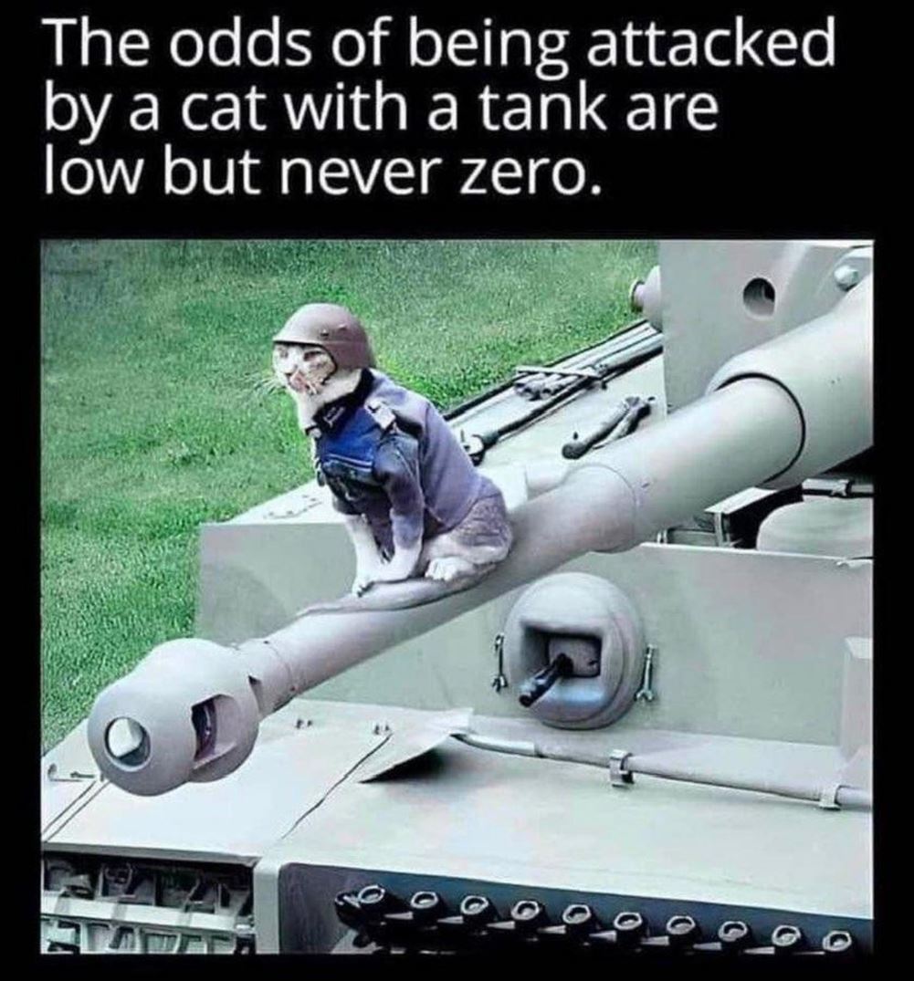 They Are Low