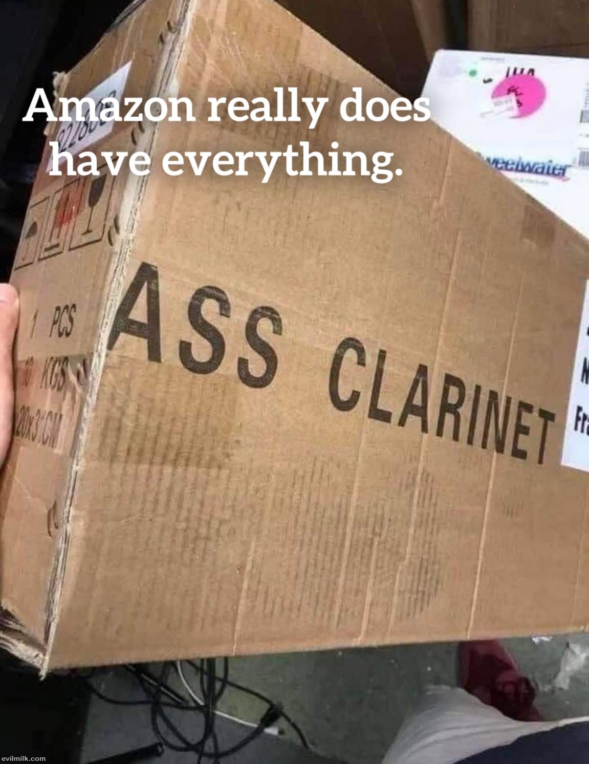 They Have It All