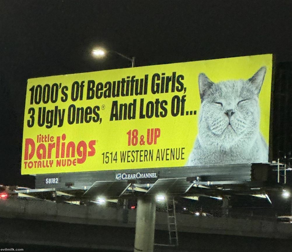 They Have It All