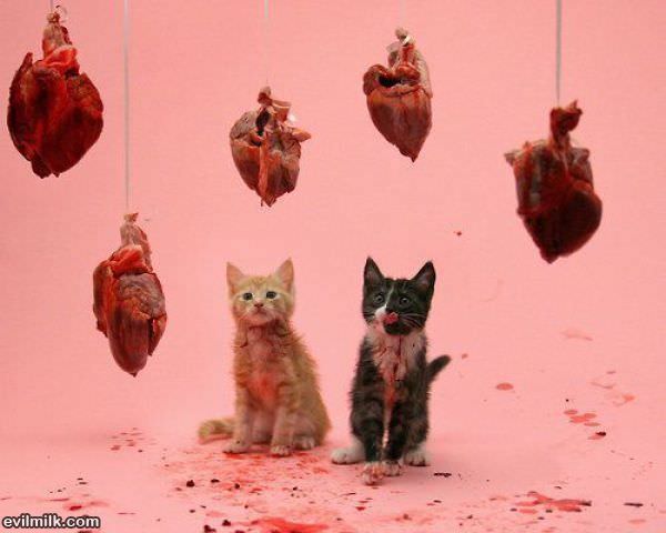 They Likes The Steak