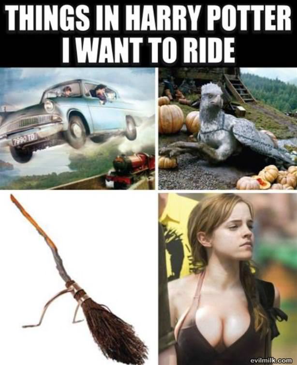 Things In Harry Potter I Want To Ride