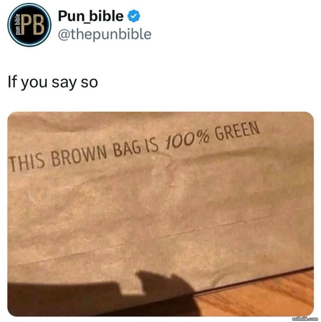 This Bag
