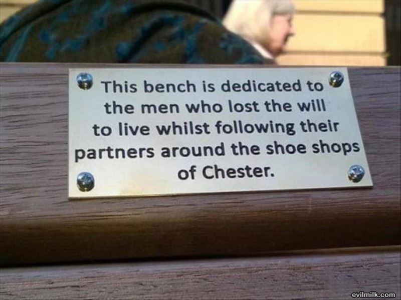 This Bench
