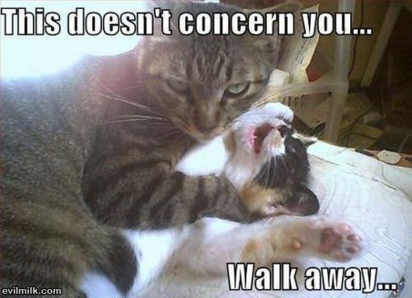 This Doesnt Concern You