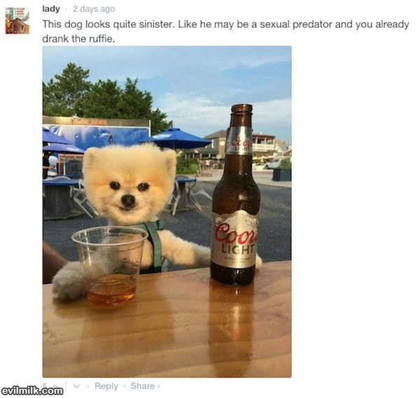 This Dog