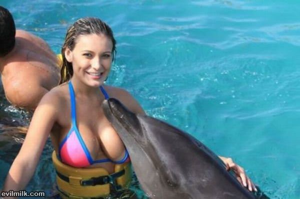 This Dolphin Has Moves