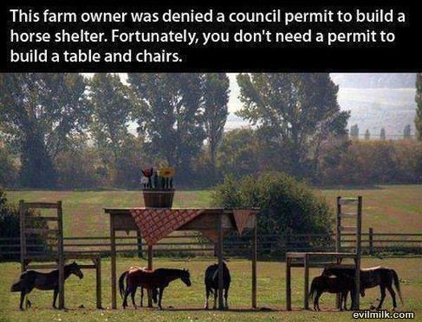 This Farm Owner