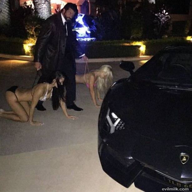This Guy Has Life All Figured Out
