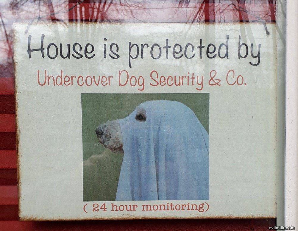 This House Is Protected
