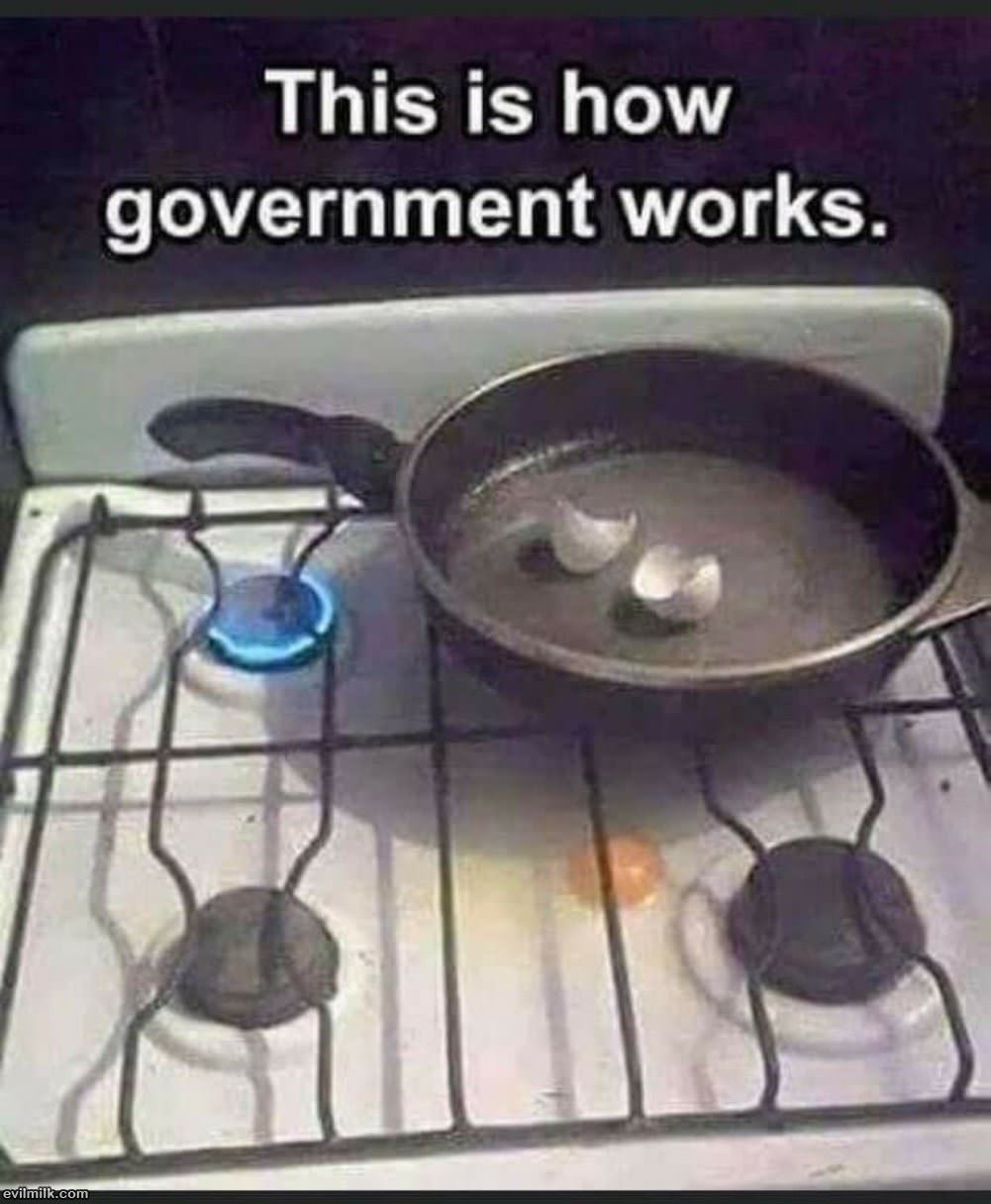 This Is How Government Works