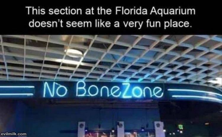 This Place Seems Boring