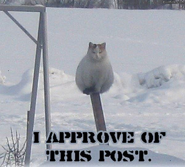 This Post