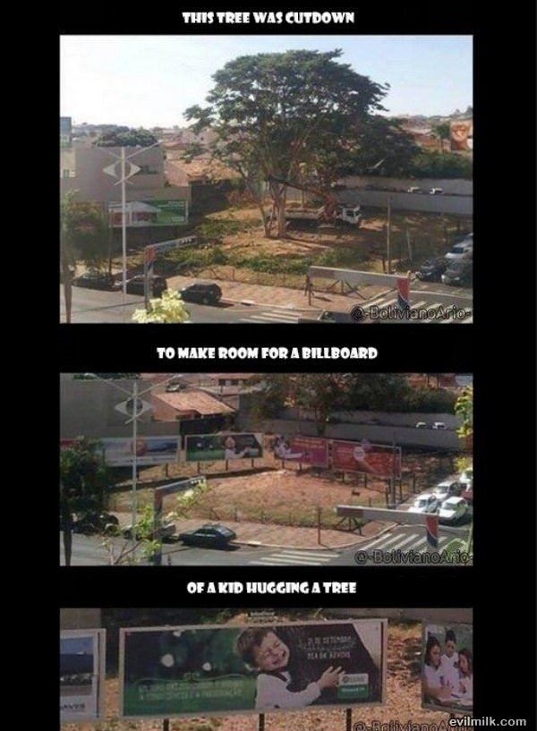 This Tree Was Removed