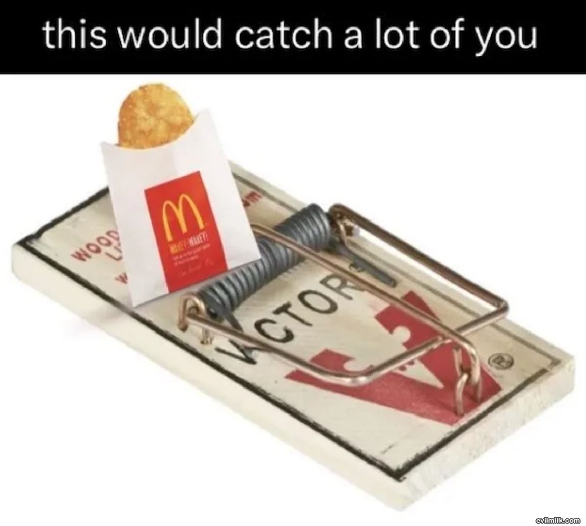 This Would Catch You