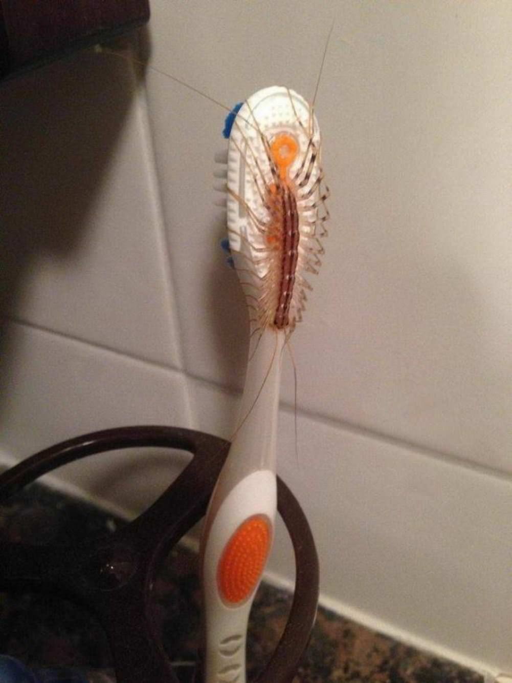 Time For Your Brushing