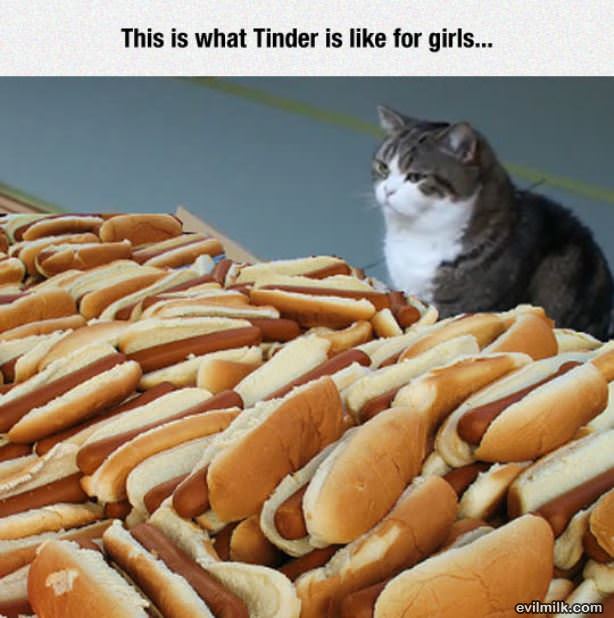 Tinder For Girls