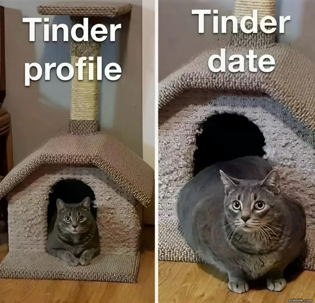 Tinder Profiles