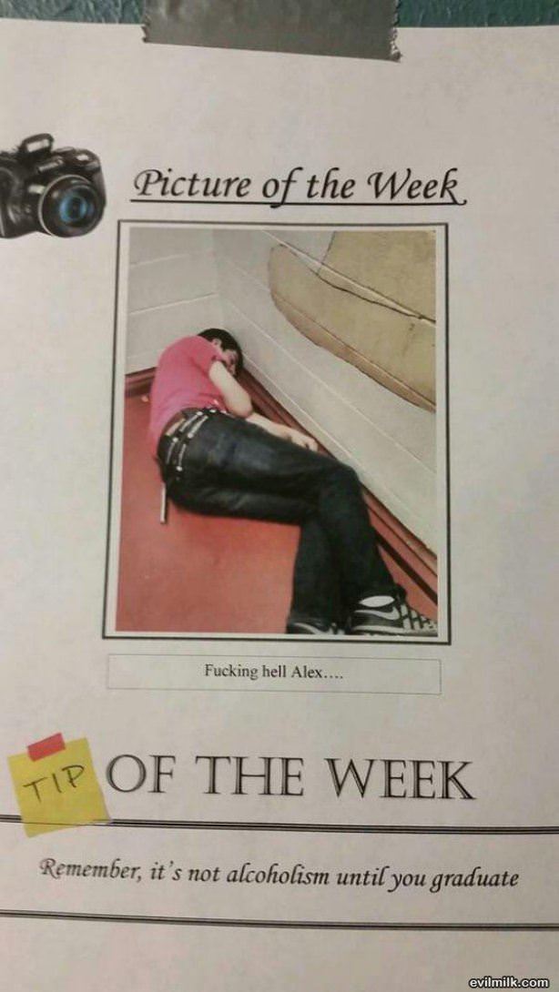 Tip Of The Week