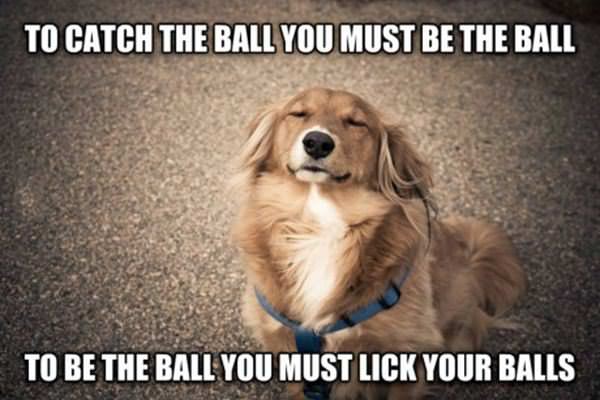 To Catch The Ball