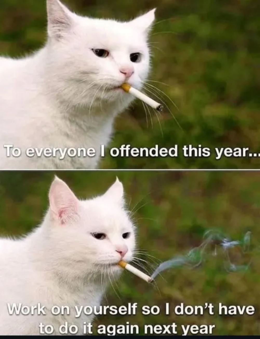 To Everyone