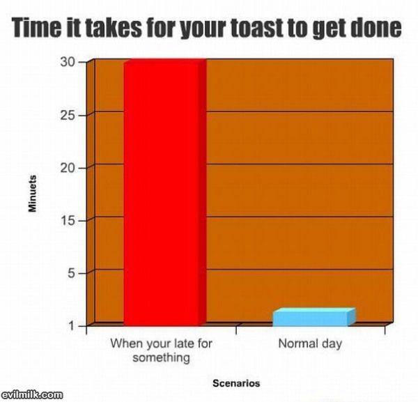 Toast