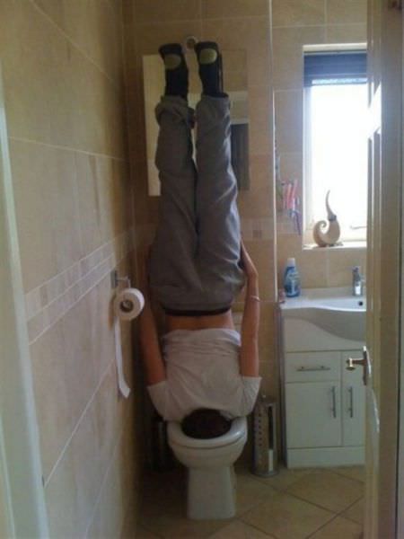 Toilet Diving