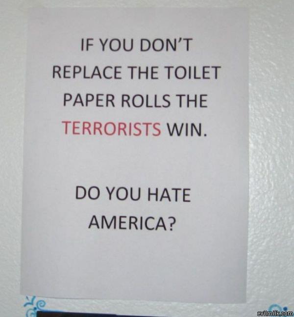 Toilet Paper Rolls
