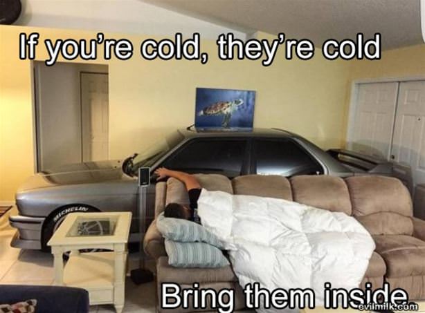 Too-cold-out-there